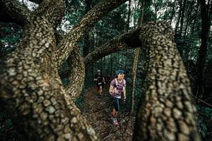 BIB: 
                            <button type="button" onclick="openModal(25393035)" class="btn btn-primary btn-sm float-right btn-popup" data-toggle="modal" data-target=".modal-high-quality">
                        <i class="fas fa-shopping-cart"></i> Add to Cart
                    </button>
                                            <button type="button" onclick="isThisMe(25393035, true)" class="btn btn-success btn-sm float-right btn-popup btn-isme hidden" data-toggle="tooltip" data-placement="bottom" title="นี่คือรูปของคุณใช่ไหม คลิกที่นี่เพื่อเอาเข้าอัลบั้ม">
                        <i class="fas fa-plus"></i> Add to album
                    </button>
                    <button type="button" onclick="isThisMe(25393035, false)" class="btn btn-warning btn-sm float-right btn-popup btn-isnotme hidden">
                        <i class="fas fa-ban"></i> Remove from album
                    </button>